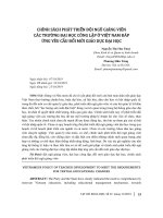 Chính sách phát triển đội ngũ giảng viên các trường đại học công lập ở Việt Nam đáp ứng yêu cầu đổi mới giáo dục đại học