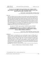 Tỷ lệ các loại bệnh tim mạch đồng mắc ở bệnh nhân bệnh phổi tắc nghẽn mạn tính tại phòng khám ngoại trú Bệnh viện Đa khoa tỉnh Bắc Ninh