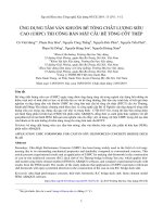 Ứng dụng tấm ván khuôn bê tông chất lượng siêu cao (UHPC) thi công bản mặt cầu bê tông cốt thép