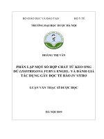 Phân lập một số hợp chất từ keo ong dú Lisotrigona furva engel. và đánh giá tác dụng gây độc tế bào in vitro