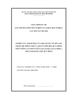 Nghiên cứu ảnh hưởng của một số yếu tố, đèn LED trong hệ thống thủy canh in vitro đến quá trình nhân nhanh cây lan Kim Tuyến (Anoechilus sectacus.), một loài dược liệu quý