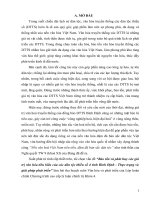 Bảo tồn và phát huy các giá trị văn hóa tiêu biểu của các dân tộc thiểu số ở tỉnh Bình Định  Thực trạng và giải pháp phát triển