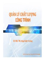 Bài giảng Quản lý chất lượng công trình: Phần 1 - ThS. Đặng Xuân Trường