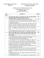Dap ÁN De GVGTỈNH NGHỆ AN  tin hoc NĂM 2019