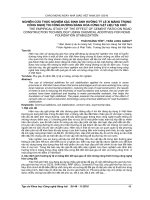 Nghiên cứu thực nghiệm xác định ảnh hưởng tỷ lệ xi măng trong công nghệ thi công đường bằng hóa cứng vật liệu tại chỗ