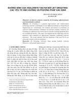 Đường kính cọc soilcrete tạo ra bởi Jet Grouting: Các yếu tố ảnh hưởng và phương pháp xác định