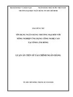 TÍN DỤNG NGÂN HÀNG THƯƠNG MẠI ĐỐI VỚI NÔNG NGHIỆP ỨNG DỤNG CÔNG NGHỆ CAO TẠI TỈNH LÂM ĐỒNG