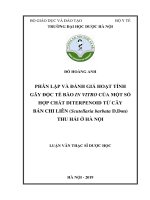 Phân lập và đánh giá hoạt tính gây độc tế bào In vitro của một số hợp chất Diterpenoid từ cây bán chi liên ( Scutellaria barbata D.Don) thu hái ở Hà Nội