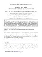 Mô hình tính toán mô phỏng sóng truyền qua hàng rào tre