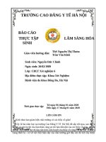 Báo cáo lâm sàng Hóa sinh