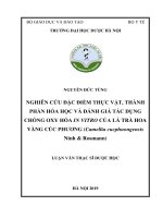 Nghiên cứu đặc điểm thực vật, thành phần hóa học và đánh giá tác dụng chống oxy hóa in vitro của lá trà hoa vàng Cúc Phương (Camellia cucphuongensis NinhRosmann)