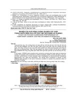 Nghiên cứu khả năng chống ăn mòn cốt thép trong nước biển của lớp phủ tạm thời bằng hồ xi măng