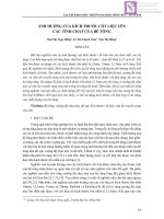 Ảnh hưởng của kích thước cốt liệu lên các tính chất của bê tông