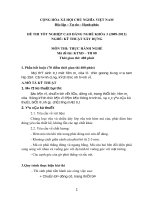 Đề thi tốt nghiệp cao đẳng nghề khóa 3 (2009-2012) - Nghề: Kỹ thuật xây dựng - Môn thi: Thực hành nghề - Mã đề thi: KTXD-TH08