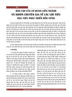 Báo cáo của cơ quan liên ngành và nhóm chuyên gia về các chỉ tiêu mục tiêu phát triển bền vững