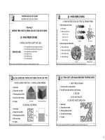Tóm tắt slide bài giảng Bộ môn Vật liệu xây dựng