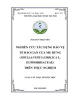 Nghiên cứu tác dụng bảo vệ tế bào gan của me rừng (Phyllanthus emblica L. Euphorbiaceae) trên thực nghiệm