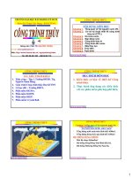 Bài giảng Công trình thủy: Chương 1 - PGS.TS. Nguyễn Thống