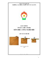 Giáo trình mô đun Mộc cơ bản