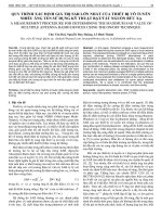 Quy trình xác định giá trị SAR lớn nhất của thiết bị vô tuyến nhiều ăng ten sử dụng kỹ thuật bật/tắt nguồn bức xạ