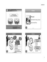 Bài giảng Kỹ năng truyền thông: Chương 3 - ThS. Lê Thị Ngọc Tiền