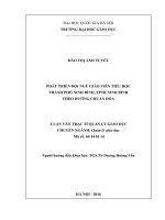 Phát triển đội ngũ giáo viên tiểu học thành phố ninh bình, tỉnh ninh bình theo hướng chuẩn hóa 
