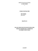 Phân lập, định danh virus viêm gan vịt ở một số tỉnh đồng bằng sông cửu long và sản xuất kháng thể phòng bệnh tt tiếng anh 