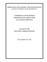 TÍN DỤNG NGÂN HÀNG THƯƠNG MẠI đối với NÔNG NGHIỆP ỨNG DỤNG CÔNG NGHỆ CAO TẠI TỈNH LÂM ĐỒNG tt tiếng anh 