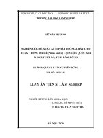 Nghiên cứu đề xuất giải pháp phòng cháy cho rừng thông ba lá (pinus kesiya) tại vườn quốc gia bidoup   núi bà, tỉnh lâm đồng 