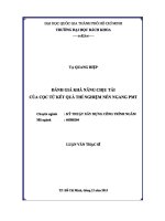 Đánh giá khả năng chịu tải của cọc từ kết quả thí nghiệm nén ngang PMT