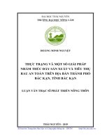 Thực trạng và một số giải pháp nhằm thúc đẩy sản xuất và tiêu thụ rau an toàn trên địa bàn thành phố bắc kạn, tỉnh bắc kạn 