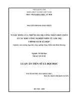 Cuộc sống của những bà mẹ đơn thân ở các khu công nghiệp nhìn từ góc độ chính sách xã hội” (Nghiên cứu trường hợp khu công nghiệp Sóng Thần tỉnh Bình Dương)