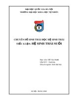 Tiểu luận Hệ sinh thái suối: Chuyên đề sinh thái học hệ sinh thái