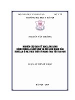 (Luận án tiến sĩ) Nghiên cứu dịch tễ học lâm sàng bệnh rubella bẩm sinh và mối liên quan của rubella ở mẹ theo thời kỳ mang thai tới thai nhi