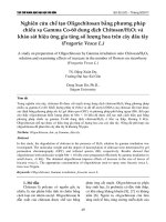 Nghiên cứu chế tạo Oligochitosan bằng phương pháp chiếu xạ Gamma Co-60 dung dịch Chitosan/H2O2 và khảo sát hiệu ứng gia tăng số lượng hoa trên cây dâu tây (Fragaria Vesca L.)