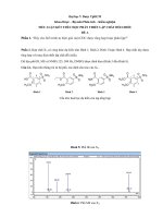 Tiểu luận kết thúc học phần Thiết lập chất đối chiếu: Trình tự biện giải một CĐC được tổng hợp hoặc phân lập