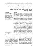 Ảnh hưởng của loại và liều lượng phân bón đến năng suất và hiệu quả kinh tế của lúa trong mô hình tôm - lúa tại huyện Thạnh Phú, tỉnh Bến Tre