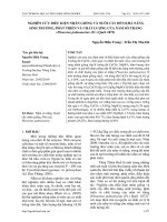 Nghiên cứu điều kiện nhân giống và nuôi cấy đến khả năng sinh trưởng, phát triển và chất lượng của nấm sò trắng (Pleurotus pulmonarius (Fr.) Quél. 1872)