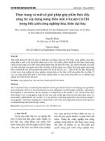 Thực trạng và một số giải pháp góp phần thúc đẩy công tác xây dựng nông thôn mới ở huyện Củ Chi trong bối cảnh công nghiệp hóa, hiện đại hóa