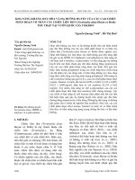 Khả năng kháng oxy hóa và hạ đường huyết của các cao chiết phân đoạn vỏ thân cây chiêu liêu đen (Terminalia alata Heyne ex Roth) thu thập tại Vườn quốc gia Yokdon