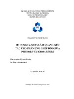 Sử dụng Cu-MOFs làm quang xúc tác cho phản ứng ghép đôi giữa Phenols và Iodoarenes