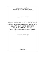 Nghiên cứu ở mức độ phân tử khả năng kháng carbapenem của một số vi khuẩn gram âm phân lập từ bệnh nhân tại bệnh viện việt đức và bệnh viện trung ương quân đội 108 