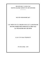 Các nhân tố cấu thành năng lực cạnh tranh doanh nghiệp phân phối bán lẻ hiện đại tại thành phố hồ chí minh 