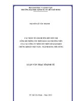 Các nhân tố ảnh hưởng đến mức độ công bố thông tin trên báo cáo thường niên của các công ty niêm yết trên sở giao dịch chứng khoán việt nam – ngành hàng tiêu dùng 