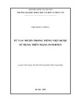 Từ vay mượn trong tiếng việt được sử dụng trên mạng internet 