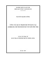 Công tác quản trị rủi ro tín dụng tại agribank chi nhánh huyện tân sơn phú thọ 