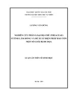 Nghiên cứu phân loại họ chè (theaceae d  don) ở tỉnh lâm đồng và đề xuất biện pháp bảo tồn một số loài bị đe dọa 