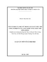 Vốn xã hội của phụ nữ trong sản xuất tiểu thủ công nghiệp ở các làng nghề vùng châu thổ sông hồng  