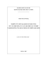Nghiên cứu chế tạo, khảo sát khả năng xúc tác điện hóa của vật liệu điện cực tổ hợp và định hướng ứng dụng trong pin nhiên liệu kiềm 