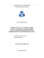 Nghiên cứu xúc tác cho quá trình sản xuất Hydro từ khí thiên nhiên giàu CO2 bằng phương pháp kết hợp Reforming khô và Reforming hơi nước